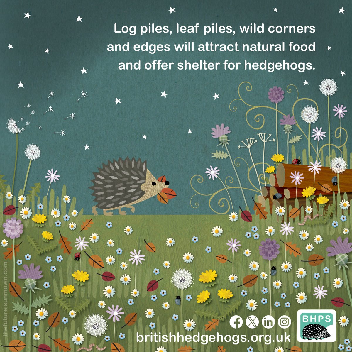 This year our #hedgehogweek theme is #welcomewildlife – so make space for #hedgehogs and do something good for #wildlife! Thanks to @TFIUnmown for donating this amazing infographic! Please #ShareToMakeAware