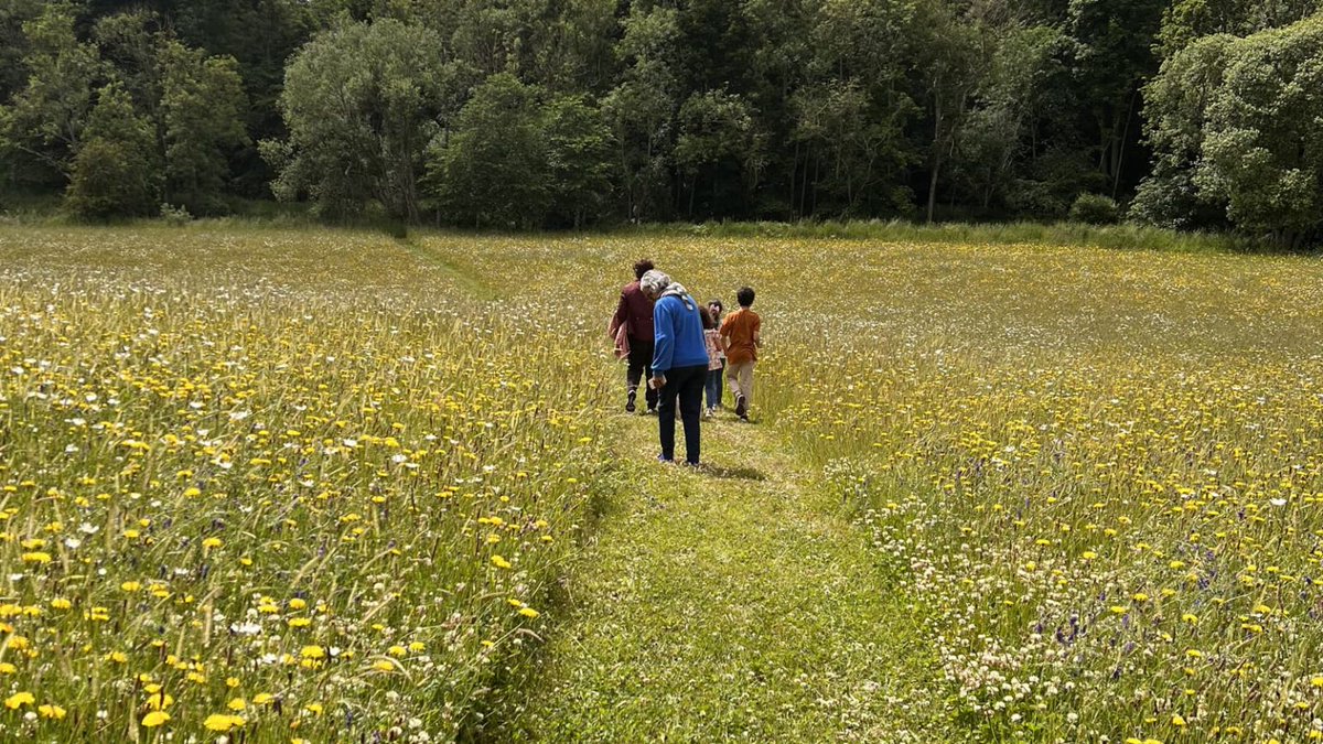 Discover #EastLothian's largest native Scottish wildflower meadow at Papple - a special place and also home to Papana Wood ow.ly/GfnL50Ry9k4 #VisitEastLothian #wildflowermeadow #scottishgardens #rewilding #viewsday