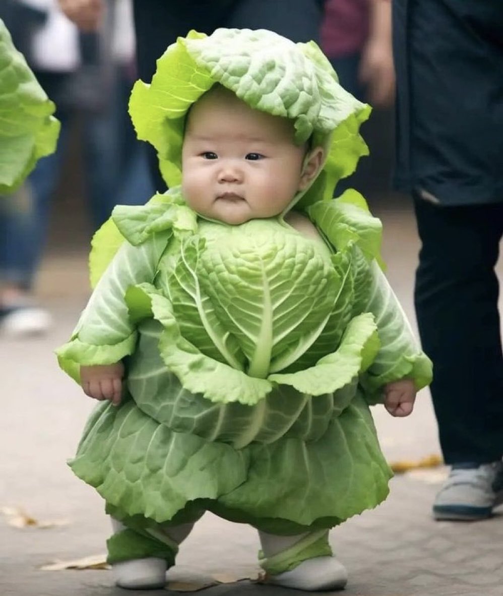 My favorite picture of my youngest.

Lettuce all get rich 🙏