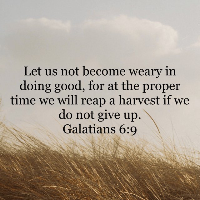 Galatians 6:9 #galatians69 #niv #newtestament #newtestamentverse #letusnotbecomewearyindoinggoodforatthepropertimewewillreapaharvestifwedonotgiveup #god #jesus #jesuschrist #jesuscalling #holyspirit #holybible #bible #bibleverse #bibleverseoftheday