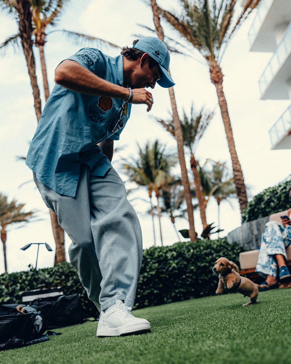 Charles Leclerc tweet media