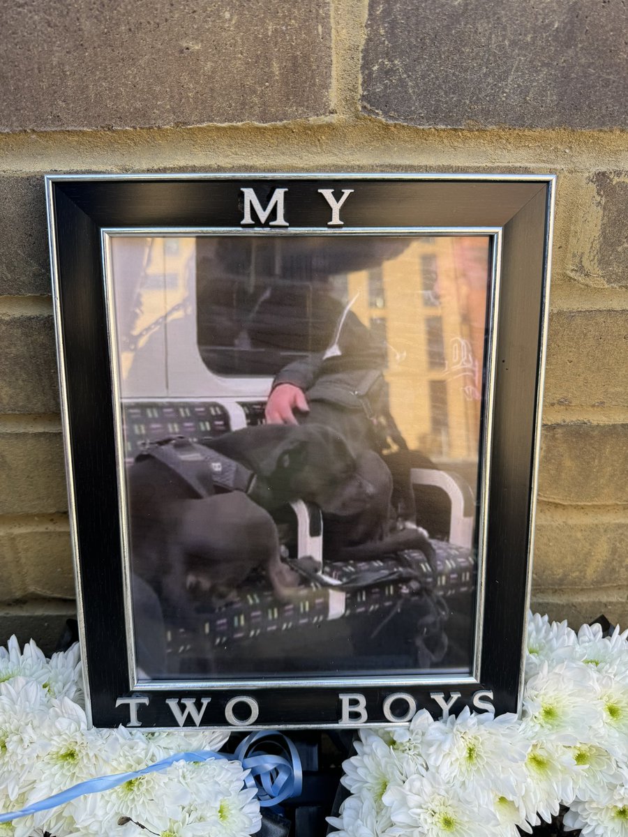 Today marks the the first anniversary of Marshall and millions passing. 🕊️ Their owner /Dad in grief paid lovely respect and a beautiful wreath and memorabilia at the exact spot where they were shot dead! He done them very proud. Never forgotten 💙🤍💙🖤