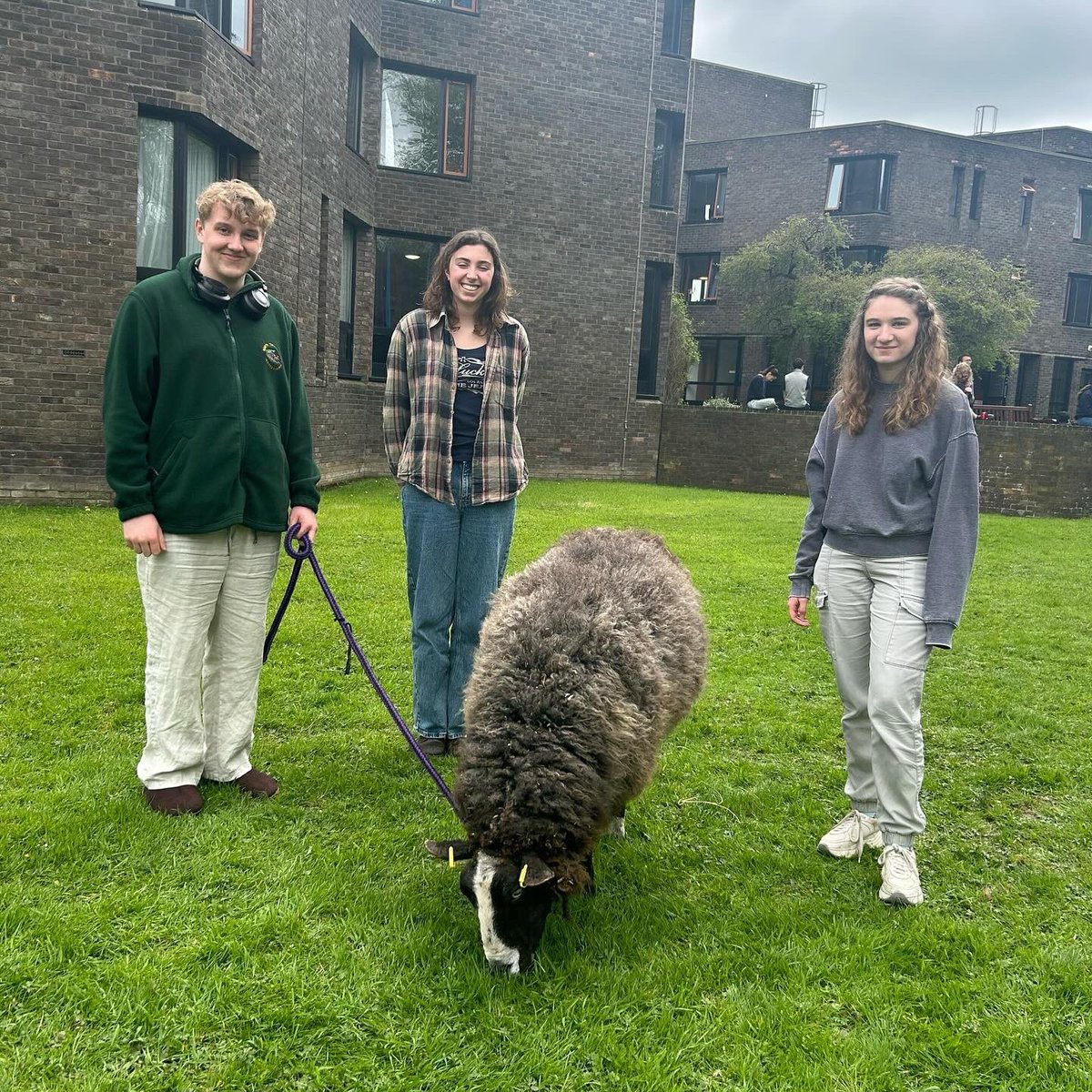 Excellent afternoon with the petting zoo for our latest Explore Wellbeing activity! Thanks to everyone who joined us to spend some time with the amazing animals #TrevelyanCollege #explore #wellbeing #community