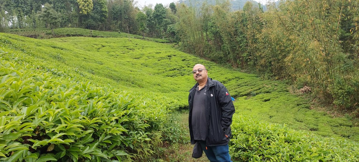 #tea garden #Nepal