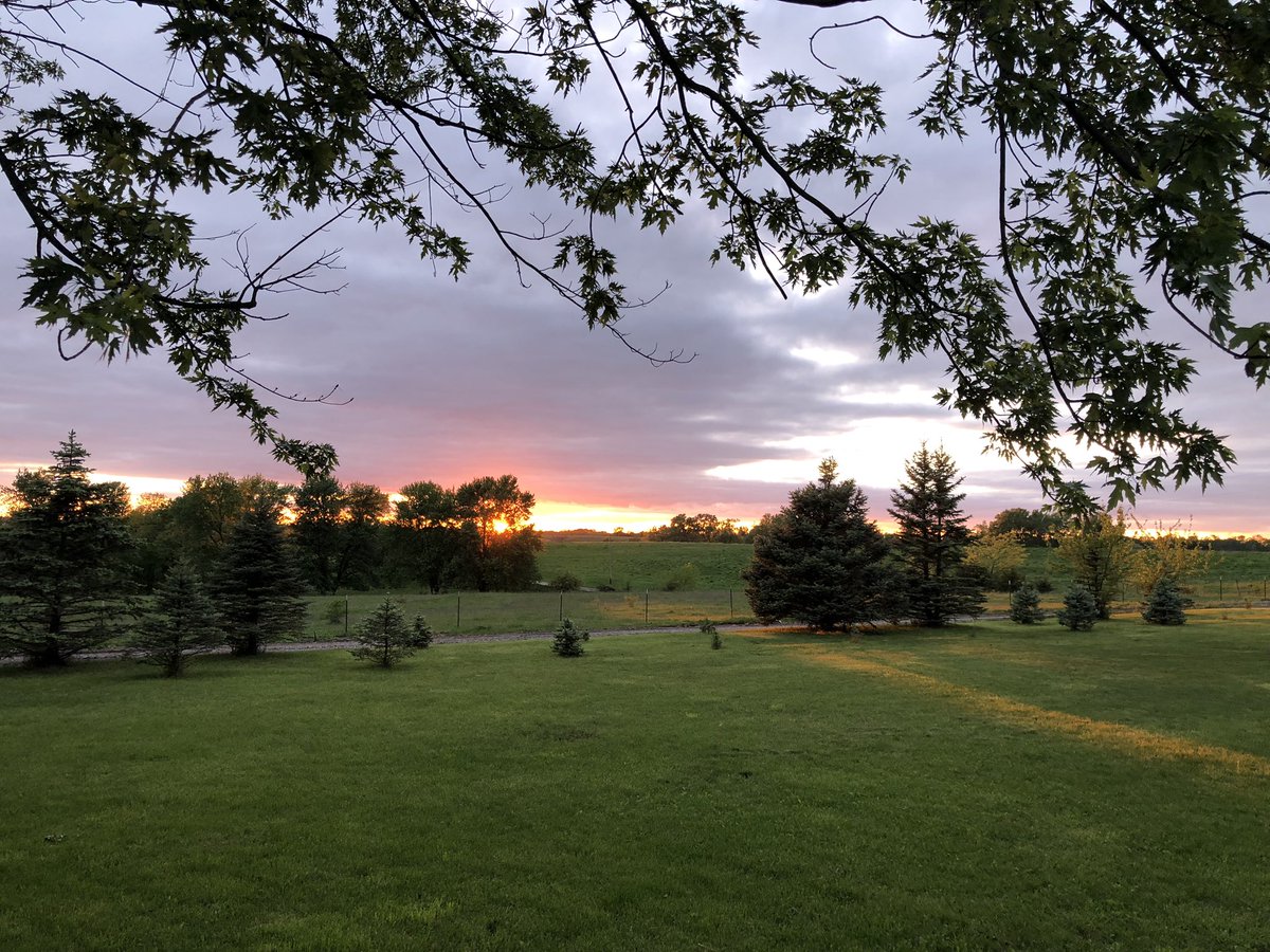 ViewFromFarm's tweet image. Love farm sunsets. And actually seeing the sun at sunset was a welcome change. #Missouri