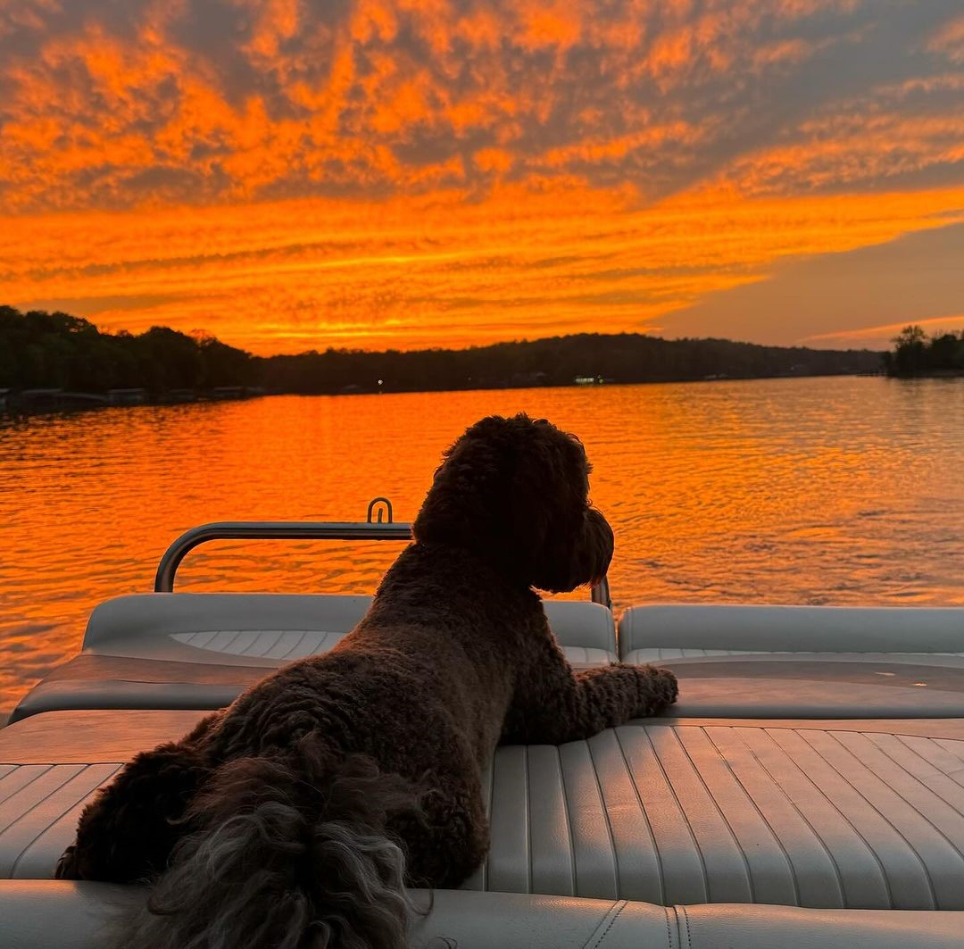 Who's ready for boating season? #THINKOUTSIDE​ 📸: bwmize871