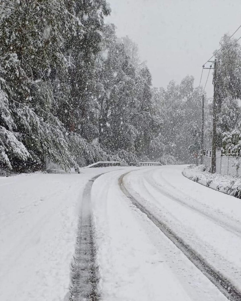 #RegiondelMaule | ❄️ nevada espectacular en Vilches, desde el kilómetro 23 hasta la Reserva Nacional Altos de Lircay. #sanclemente