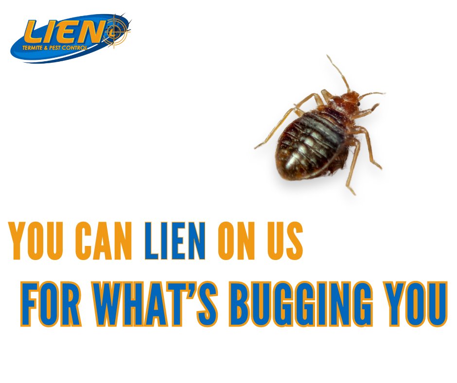 Bedbugs, cockroaches, and rodents have their own homes — why allow them to stay in yours? Say goodbye to unwanted guests with Lien Termite & Pest Control and make your home fully yours again. #lienonus #lientermite #termites #pestcontrol