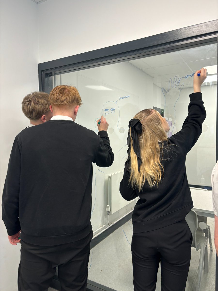 Take a look at year 11 taking on some interactive revision prior to exam season starting!