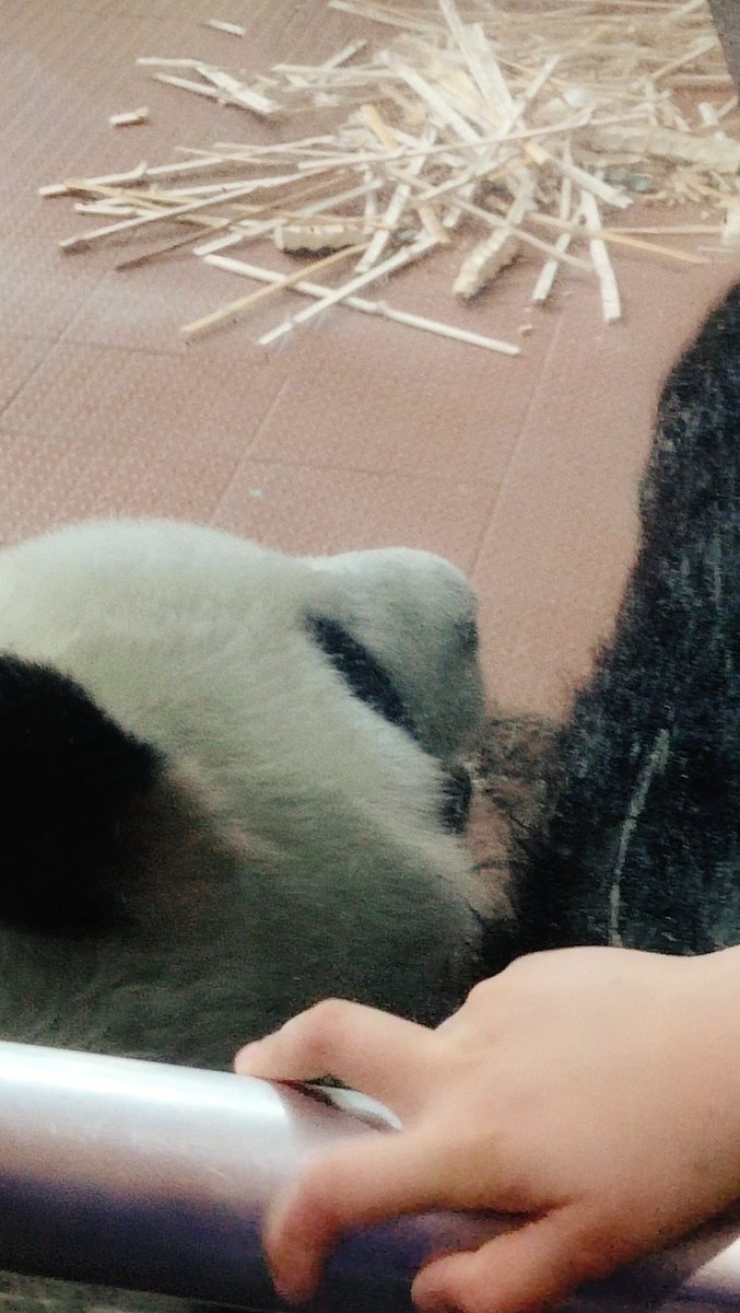 making74069967's tweet photo. 宝宝 https://t.co/01ruMW52B3