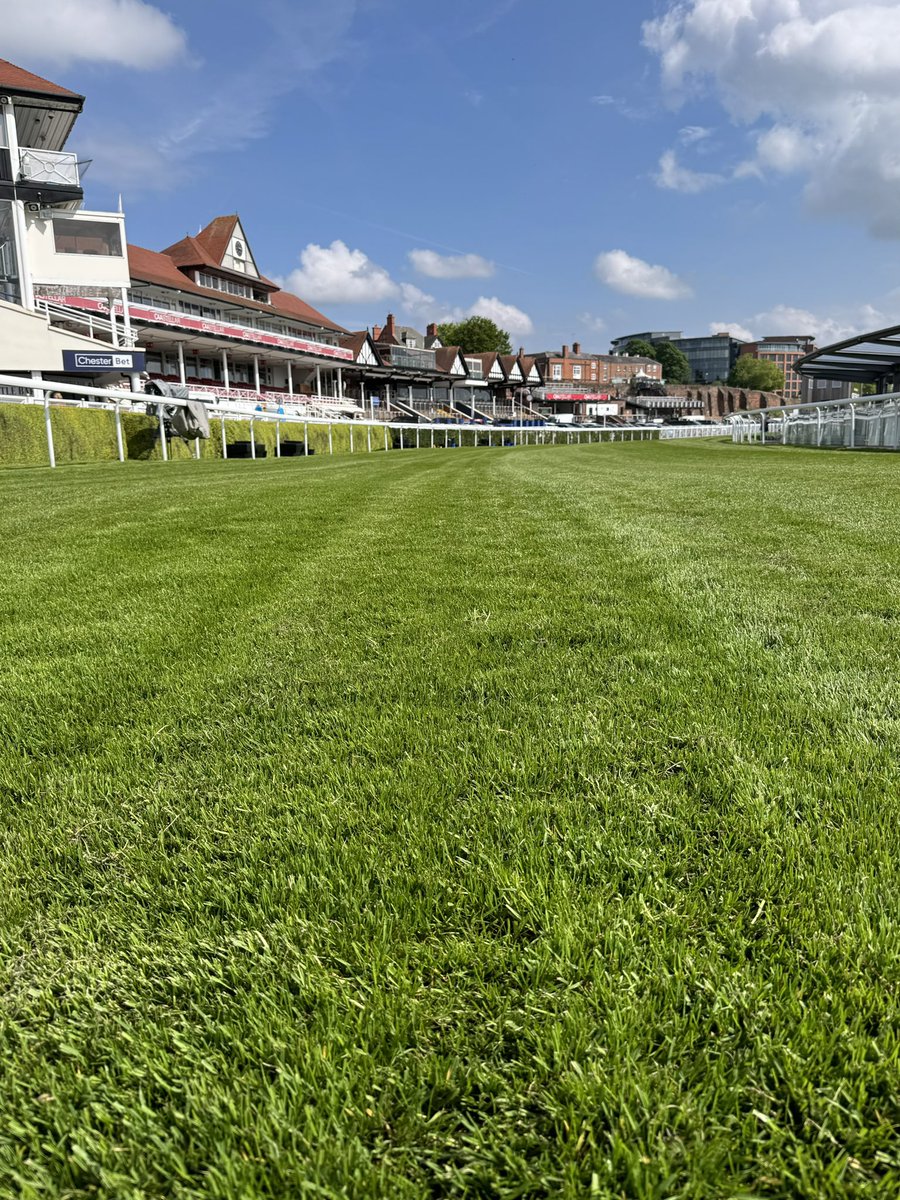 Chester😎 @ChesterRaces