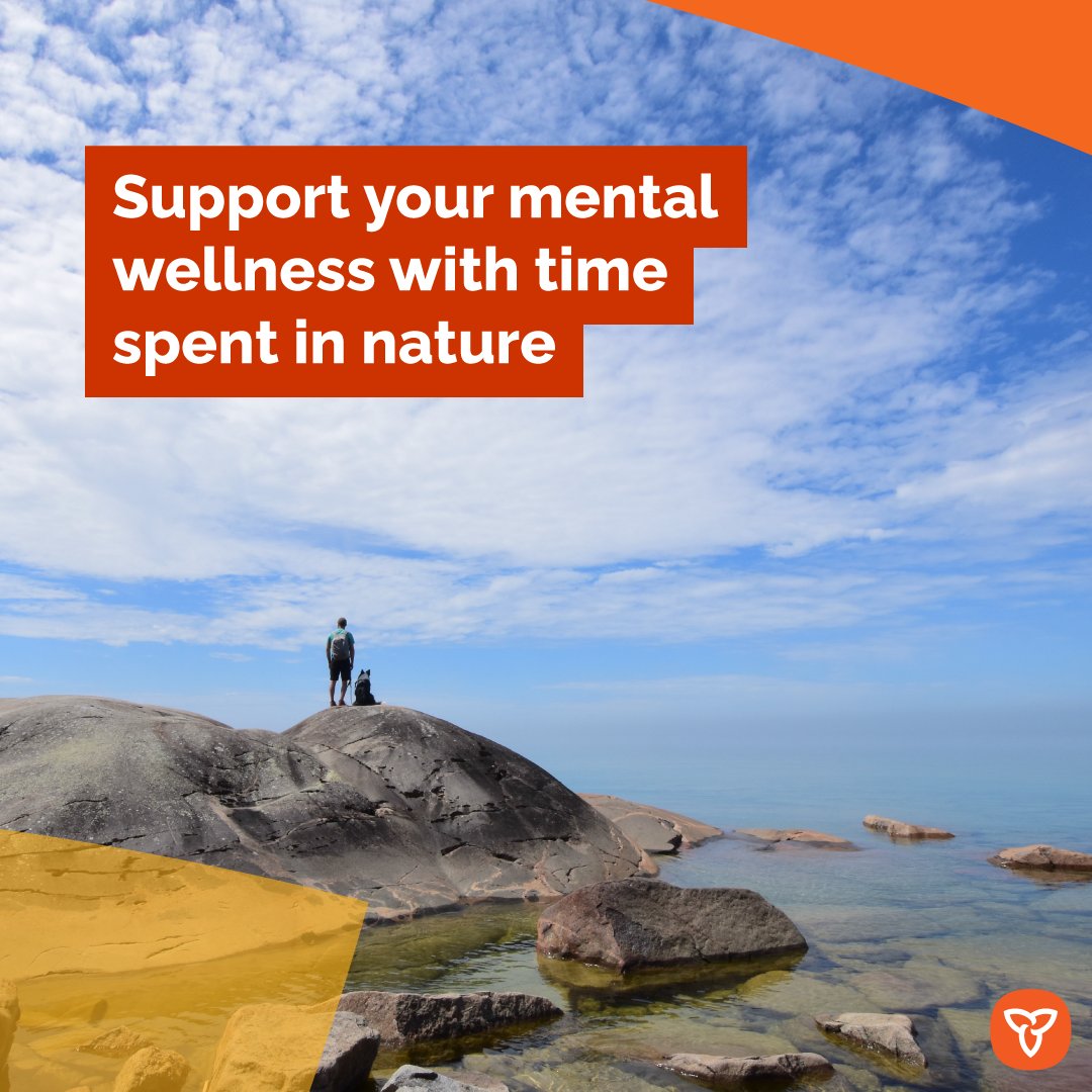 #DidYouKnow spending time outdoors can significantly boost your mental health? 🧠🏞️ Step outside & let the wonders of nature work their magic. Whether it's hiking, biking, or simply being in nature, you'll be improving your overall health. ontarioparks.ca/parksblog/ment… @OntarioParks