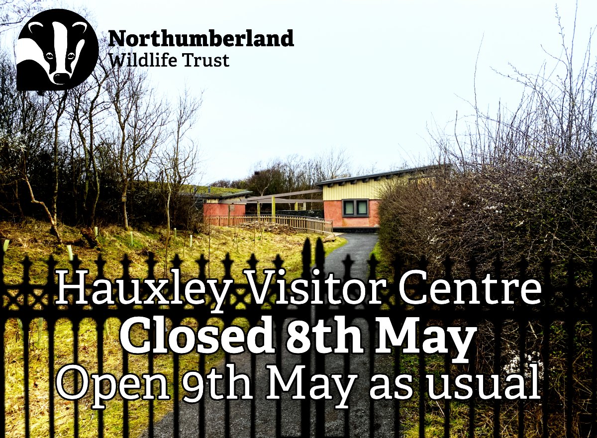Our Hauxley Wildlife Discovery Centre, Café and Reserve will be closed on Wednesday 8th May while the entrance road is being resurfaced. We're sorry for any inconvenience, we'll be back on Thursday!