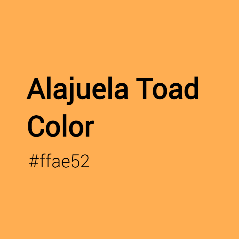 Alajuela Toad color #ffae52 A Cool Color with Yellow hue! 
 Tag your work with #crispedge 
 crispedge.com/color/ffae52/ 
 #CoolColor #CoolYellowColor #Yellow #Yellowcolor #AlajuelaToad #Alajuela #Toad #color #colorful #colorlove #colorname #colorinspiration