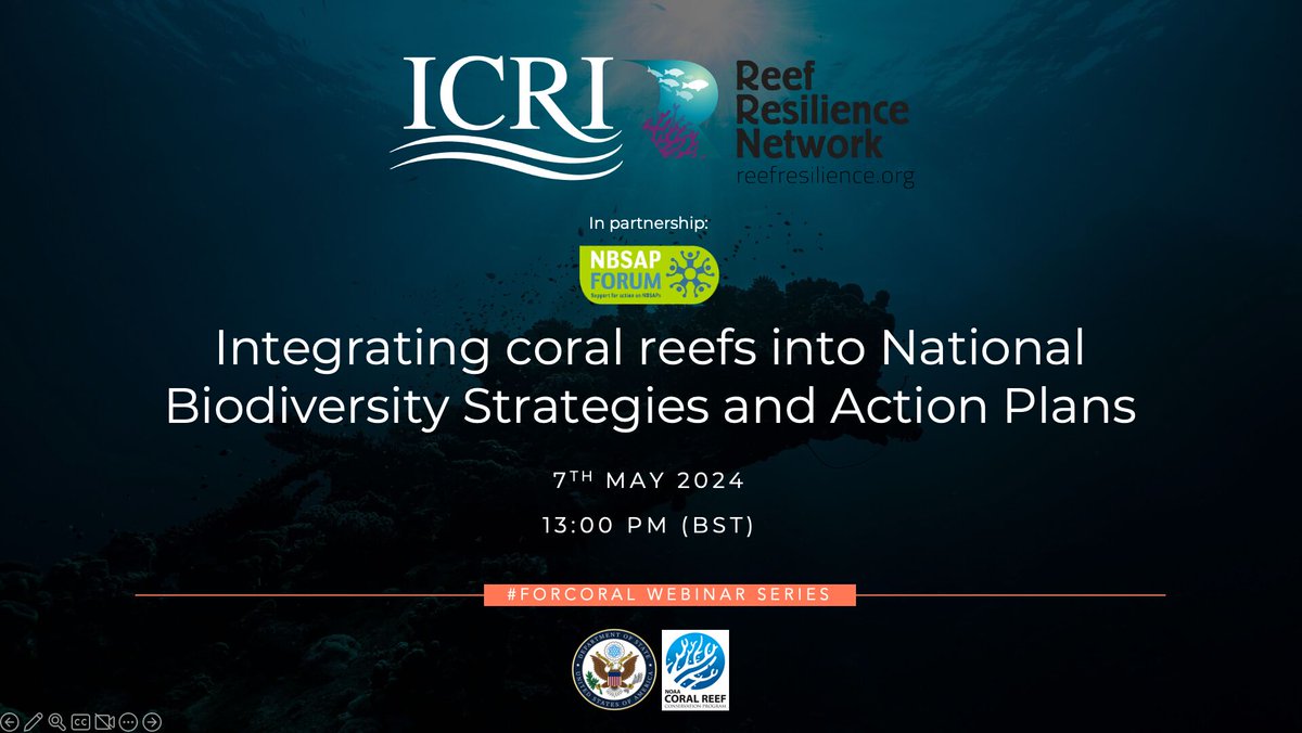 Today at @ICRSCoralReef's webinar on integrating coral reefs into National Biodiversity Strategies and Action Plans, @TraceyLCumming spoke about how #biodiversity financing plans can support #NBSAPs. The webinar recording is available at: icriforum.org/events/forcora…
