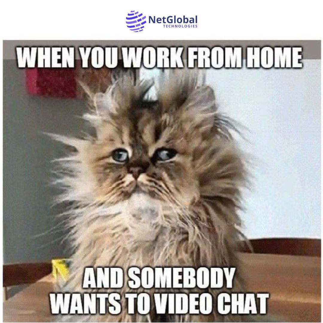 When you're deep in 'work-from-home' mode 😂

#colleagues #meetings #funnymoments #Workmemes #Officememes #corporatelife #officelife #corporatememes #corporatememes #Workmemes #NetGlobalTechnologies #Office #Viral #memepage #meme #explorenow