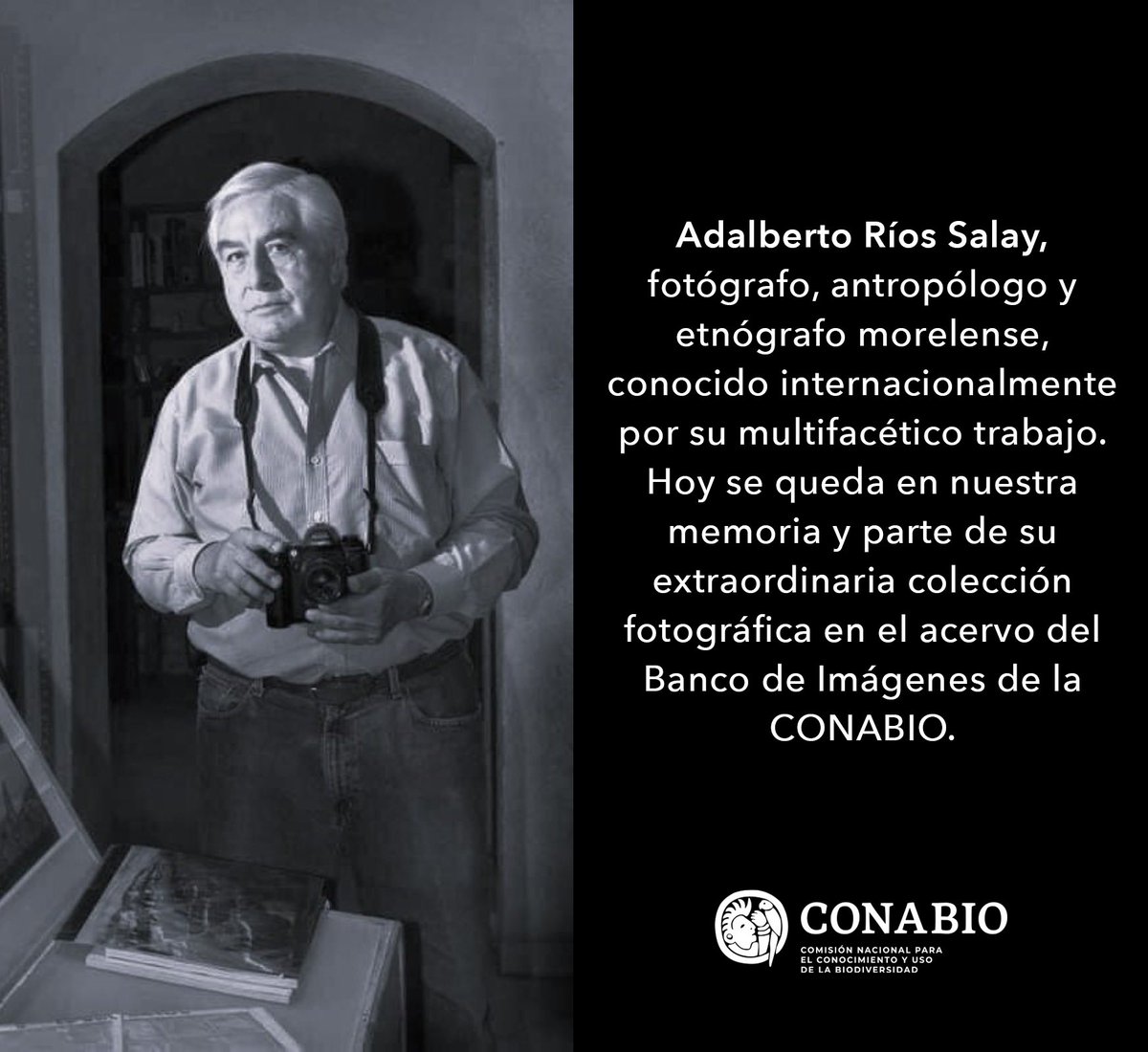 Adalberto Ríos Salay, fotógrafo, antropólogo y etnógrafo morelense, conocido internacionalmente por su multifacético trabajo. Hoy se queda en nuestra memoria y parte de su extraordinaria colección fotográfica en el acervo del Banco de Imágenes de la CONABIO. D.E.P