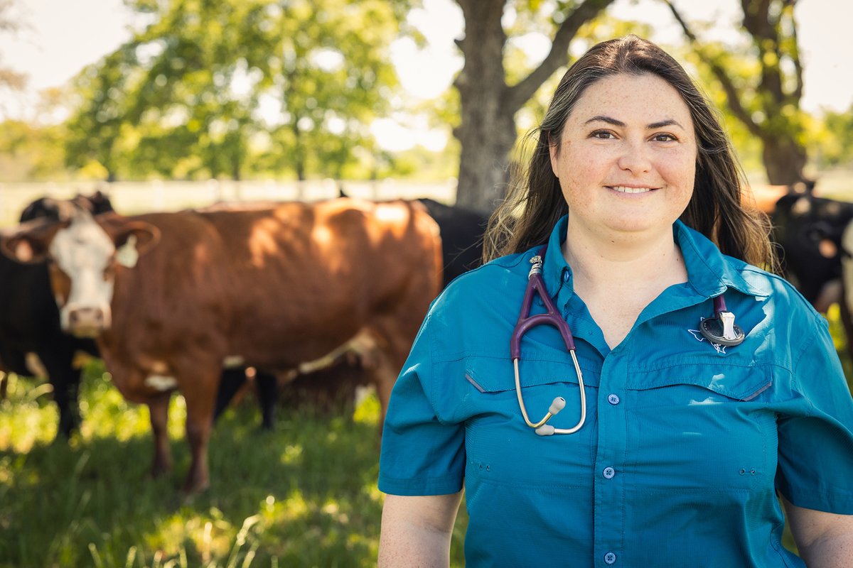 Fourth-year veterinary student Jessica Stephenson took an unconventional path to veterinary school when she first chose to pursue a career in history, but has since proven that her veterinary career dream was one worth chasing. #TAMUVetMed Read more: vetmed.tamu.edu/news/press-rel…