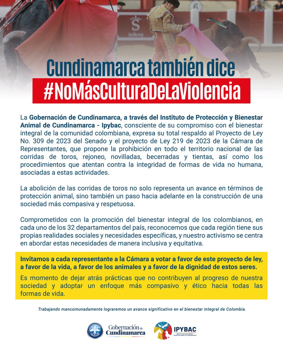 Cundinamarca se une al llamado y dice  #NoMásCulturaDeLaViolencia. La @CundinamarcaGob, a través del Ipybac, respalda los proyectos de ley que prohíben las corridas de toros en Colombia. Es hora de avanzar hacia una sociedad más compasiva y respetuosa. 

#BienestarAnimal
