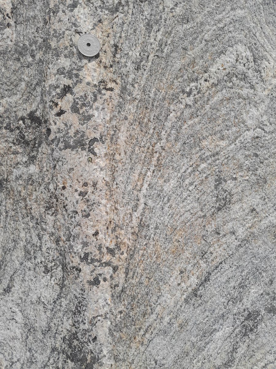 Sascha Zertani tweet media