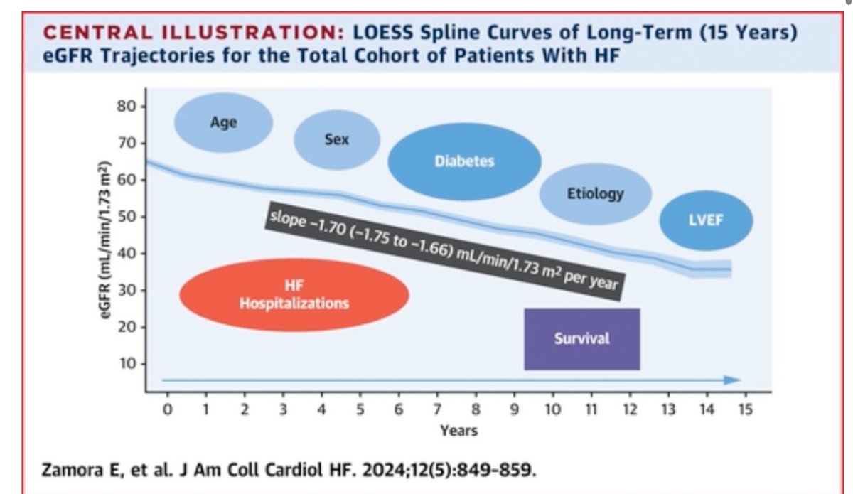 🇪🇸Trajectories of Kidney Function in Heart Failure Over a 15-Year Follow-Up 👥2672 ⏰August 2001 and December 2021 🧪40,970 creatinine measurements, 👉↘️ eGFR was observed in the entire cohort, with a slope of −1.70 mL/min/1.73 m2 per year 📌 Older patients 📌 diabetes 📌HFpEF