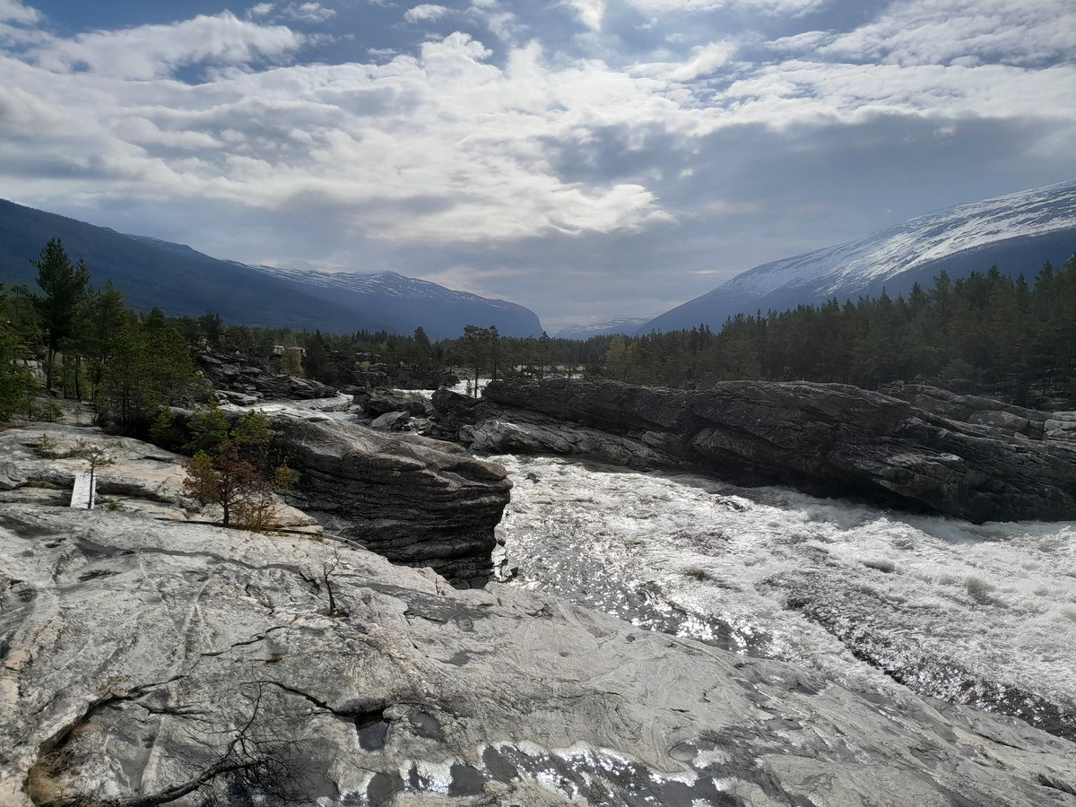 Sascha Zertani tweet media