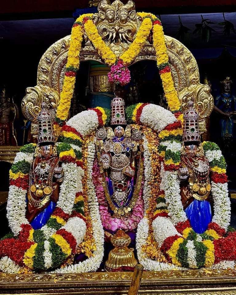 Tirumala Sri Malayappan in Annamaiyya Varadanthi Utsavam