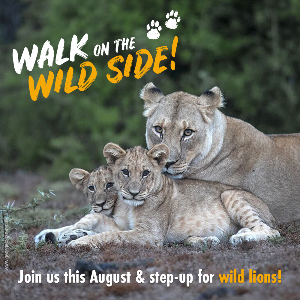 Will you step up for lion conservation and walk 23,000 steps – one for every estimated lion remaining in the wild? Steps can be completed on World Lion Day, or spread out during August, so you can choose how you take part. Register today! 🦁🧡🏅 ow.ly/PnVC50RyAci