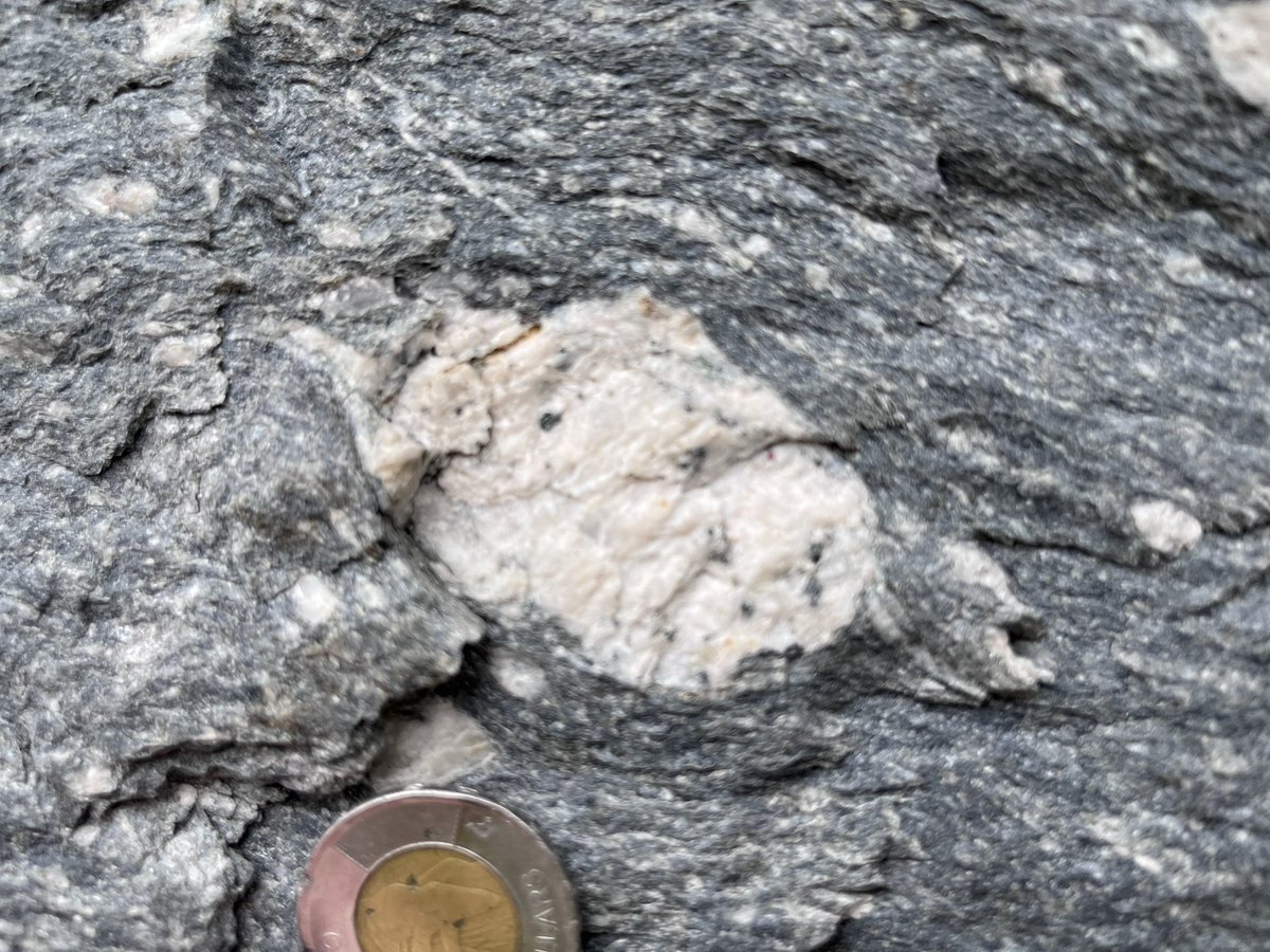 Stephen Michalchuk tweet media