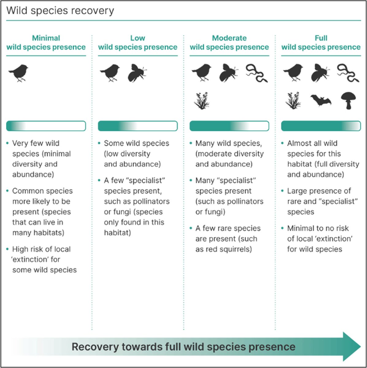 Can biodiversity values be integrated into policy decisions? 🦆📈 A new study argues that the public support for species recovery and habitat improvement in England suggests biodiversity targets should be at the forefront of policy decisions. doi.org/10.1002/pan3.1…