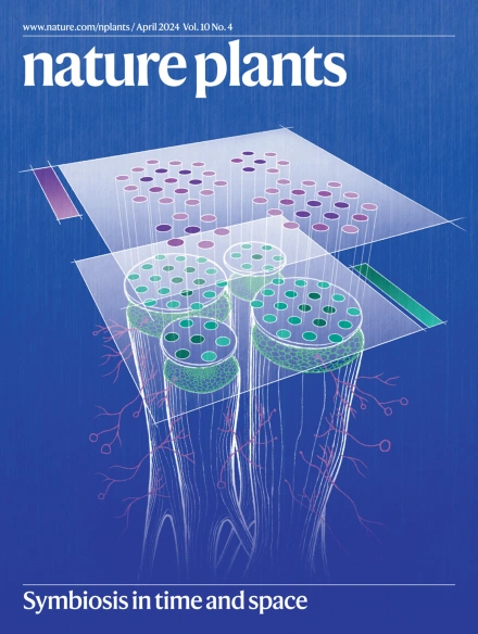 The April cover of @NaturePlants features JGI-enabled research of one of the first cross-kingdom spatially-resolved transcriptomics studies. The symbiosis btwn plants & mycorrhizal fungi could improve carbon storage in soil and boost biofuel feedstocks! jgi.doe.gov/an-inside-look…