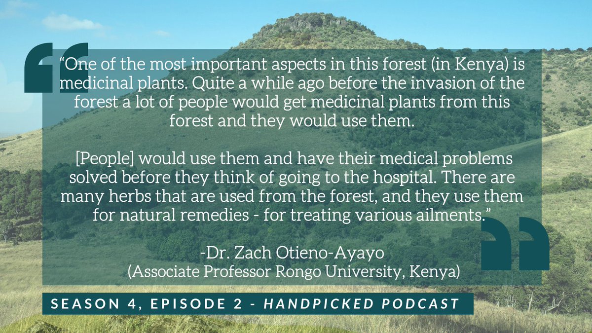 Have you listened to our latest episode?

Dr. Zach Otieno-Ayayo from <a href="/Rongo_Uni/">RongoUniversity</a>  shares the significance of the forest to people in Kenya.

Find the full episode here:
researchcentres.wlu.ca/centre-for-sus…

<a href="/LaurierResearch/">Laurier Research</a> <a href="/LCSFSresearch/">The Laurier Centre for Sustainable Food Systems</a> <a href="/LaurierSci/">Laurier Science</a>
