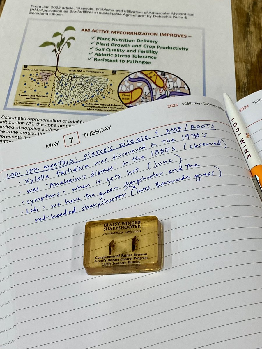 Lodi Wine Growers tweet media