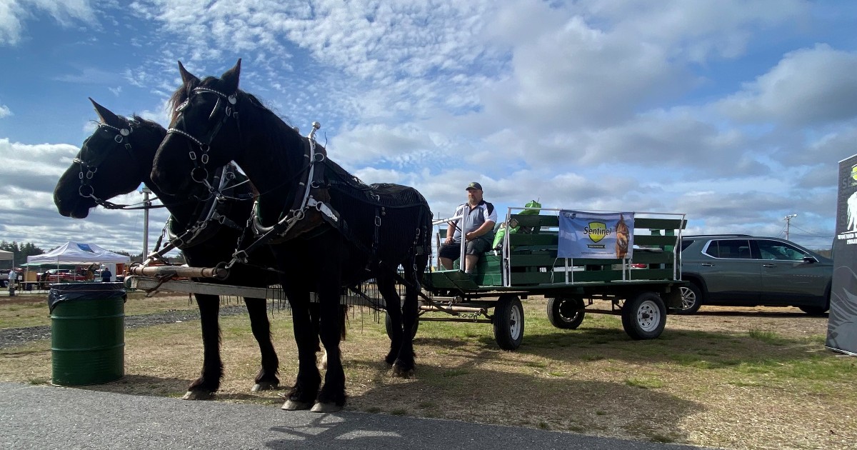 UNH Extension’s #Weekend #Recap from the annual #NewHampshire #Farm, #Forest and #Garden Expo! 🚜 🌾 UNH Extension staff had a wonderful time and we hope all those who attended did too. ✅
