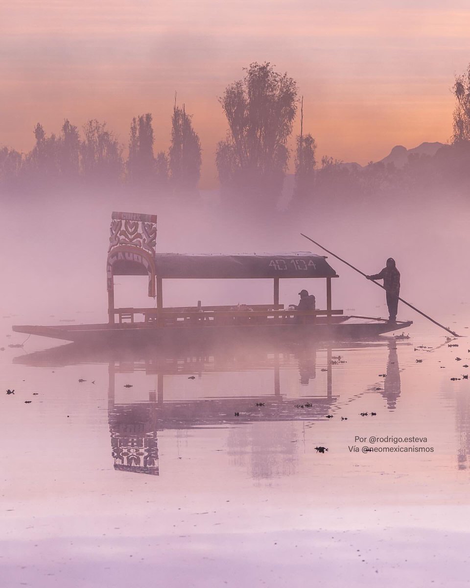 Amanecer entre la bruma #Xochimilco 

:::> bit.ly/Chinampas_Patr…￼