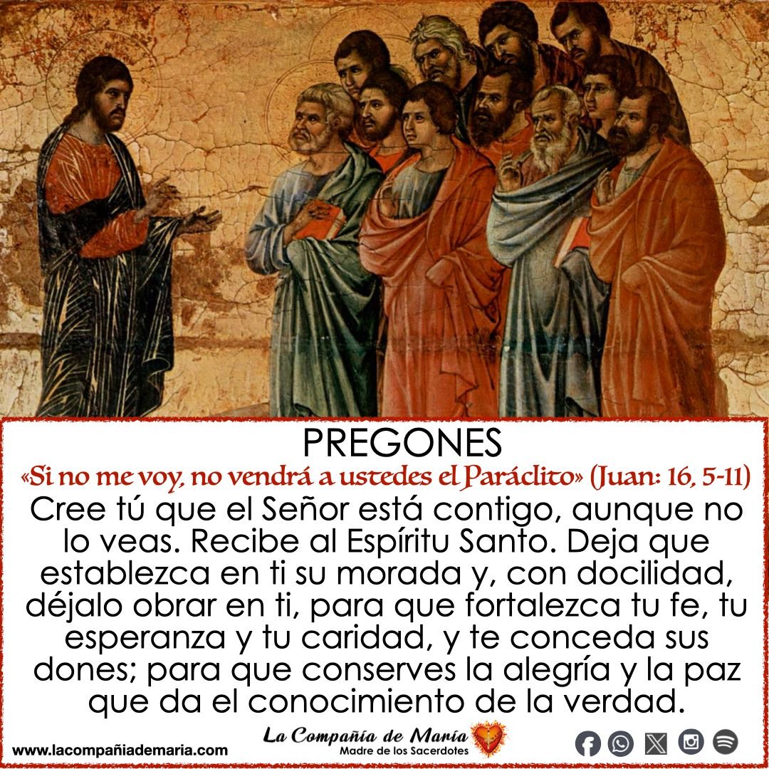 MARTES VI DE PASCUA 
«Si no me voy, no vendrá a ustedes el Paráclito».  Juan: 16, 5-11 🙏 #sacerdote #iglesiacatolica #lacompañiademaria #evangelio #oracion #maternidadespiritual @IglesiaMexico @ArquidiocesisT