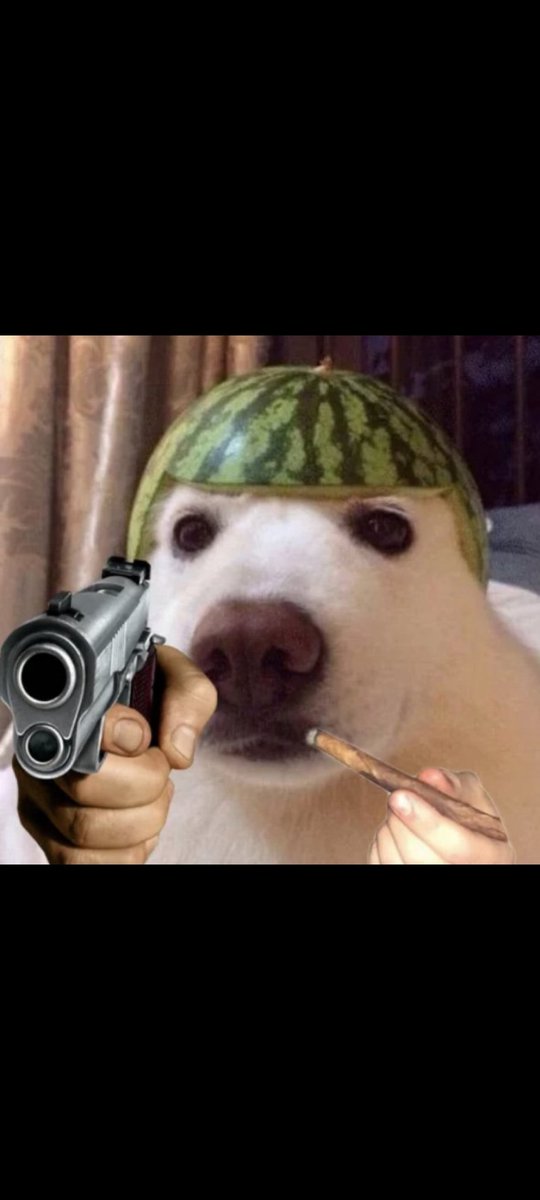 There’s only one wif killer

$MELON MEN