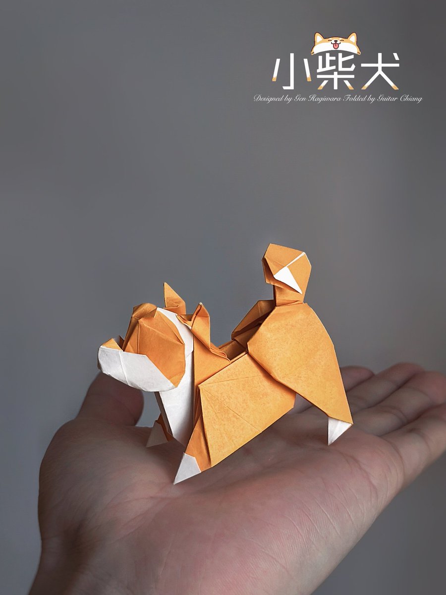 Origami Shiba Inu
-designed by @gen_h
-folded by @guitar_chiang
-30*30cm kraft paper
-《Origami Works of Gen Hagiwara》
#dog #shibainu #origami #papercrafts #papercrafting