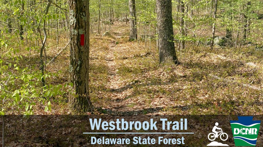 Take a spring ride on the Westbrook Trail, where mountain bikers will find great singletrack on level terrain. Bikers can access more than 11 miles of mountain bike riding in #DelawareStateForest. Learn more ➡ bit.ly/3fMKeFt. #TrailTuesday #GetOutdoorsPa #PaStateForests