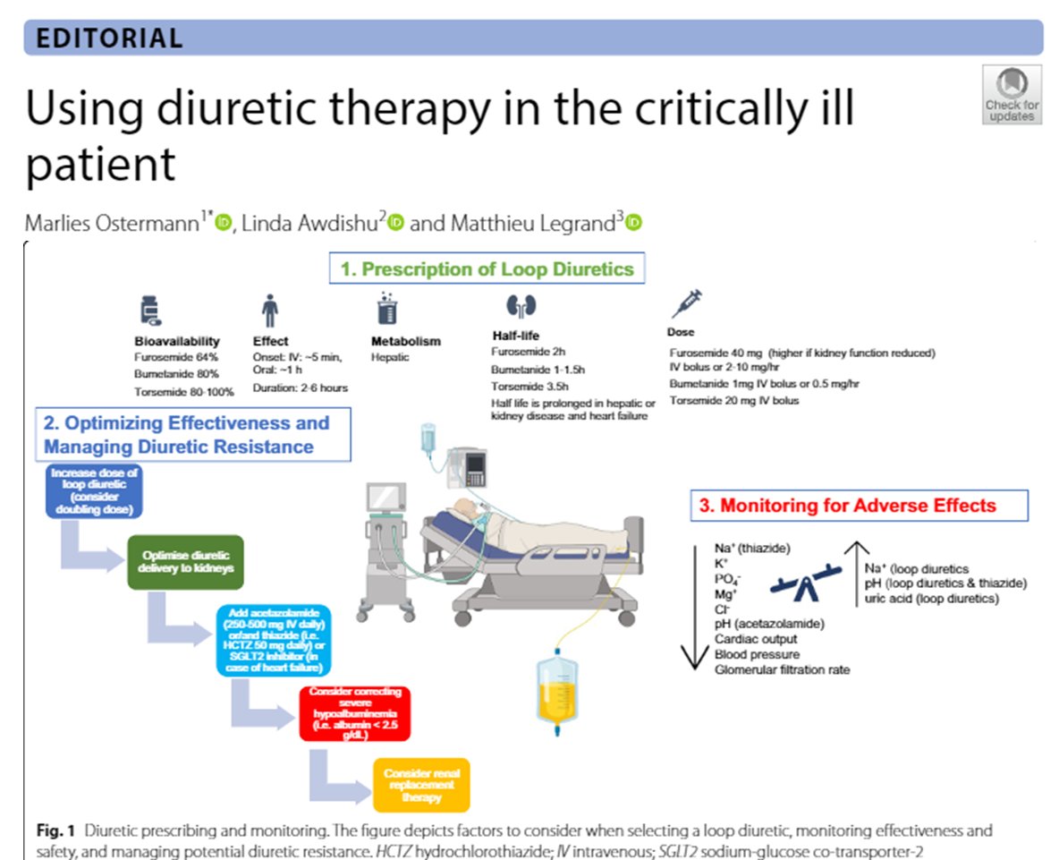 Diuréticos en #UCI
💊Indicaciones
💊Monitorización
💊Infusión continua vs intermitente
💊Combinación con albúmina
💊Test de esfuerzo con furosemida
💊Manejo de resistencia a diuréticos
🔗t.ly/z9eqF
