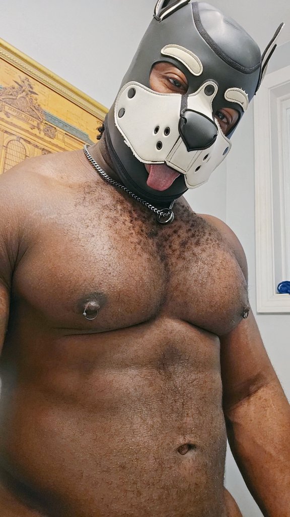 #Tittytuesday 💪😜 #musclepup #chestday #Gymrat #fitness #bodybuilding #musclegrowth #muscleworship #gaypup #pupplay #humanpup #pupplaycommunity #alphapup #betapup #muscleman