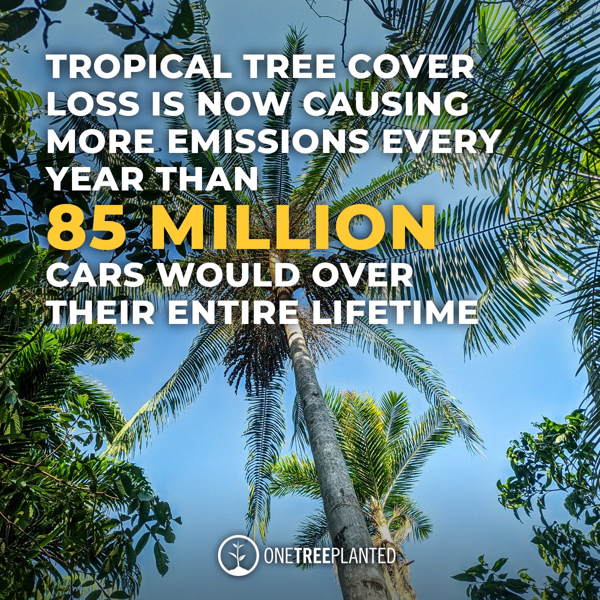 forestflask's tweet image. 