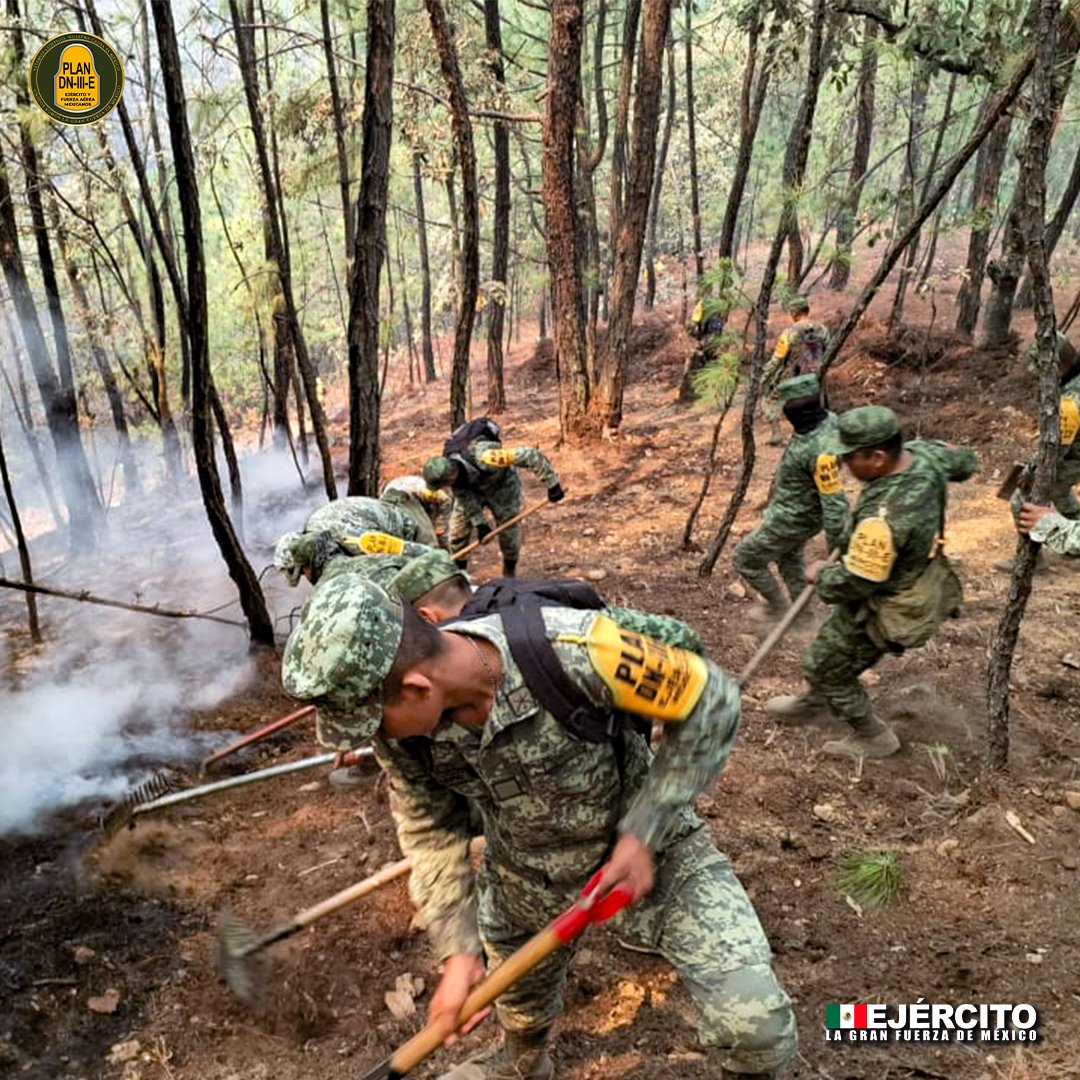 ¡Nuestro compromiso es permanente con el bienestar de los mexicanos! Mediante la aplicación del #PlanDNIIIE en su fase de #Auxilio llevamos a cabo la sofocación de incendios forestales en la #22ZonaMilitar. #EjércitoMexicano #UnidosSomosLaGranFuerzaDeMéxico