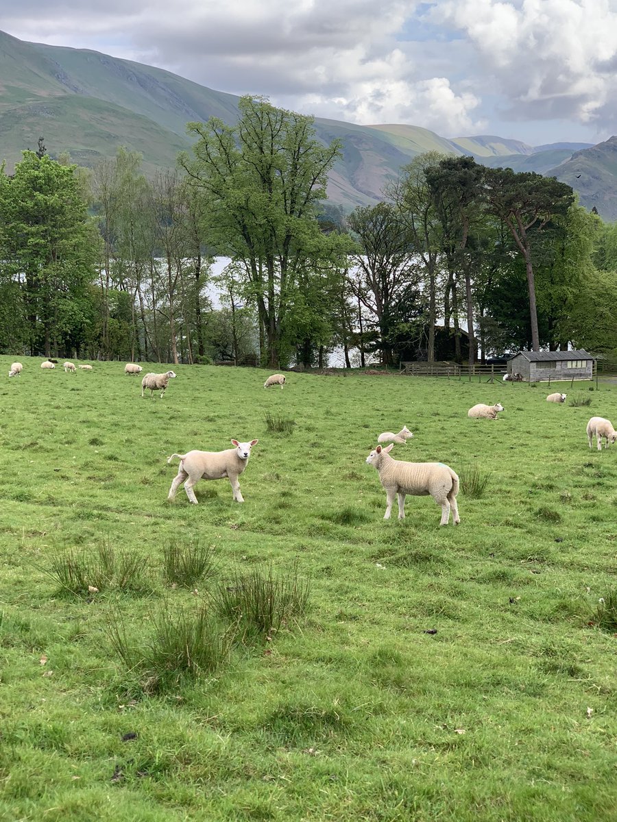 Very excited to kicking off three wonderful days at the @rankprize Nutrition Low Carbohydrate Diets Symposium in Ullswater. Beautiful setting to discuss a great topic! @theindicostudy @UoW_BRG @worcester_uni @UoWBioSci @WorcesterDS