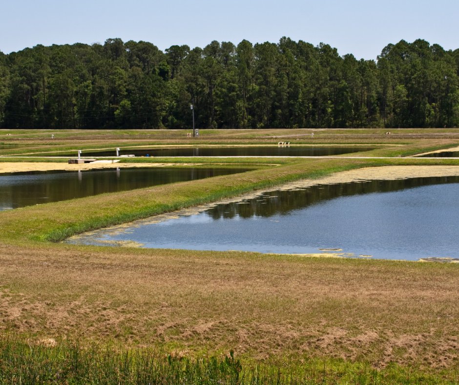 HydroBioScience's tweet image. Have you read our case studies? Don’t take our word for it, our products have proven results.
hydro-bioscience.com/resources/case…
#algaemanagement #waterqualitymonitoring #WaterManagement #algae #bluegreenalgae