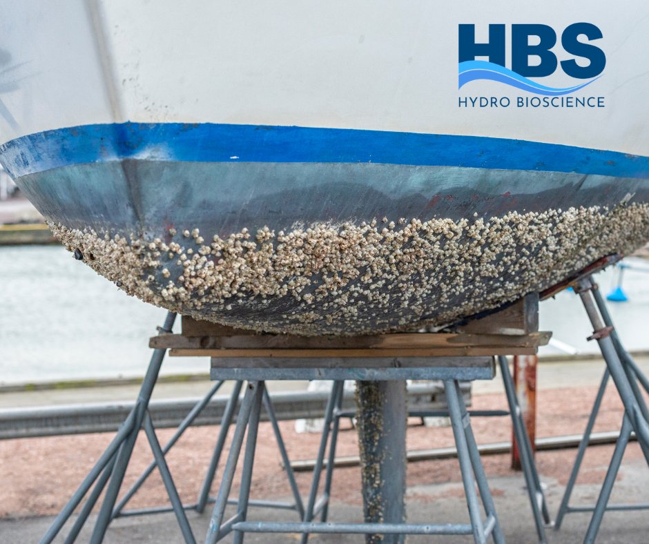 What the barnacle? Did you know our products can reduce/eliminate a lot of boat maintenance?
hydro-bioscience.com/resources/appl…
#algaemanagement #waterqualitymonitoring #WaterManagement #algae #bluegreenalgae