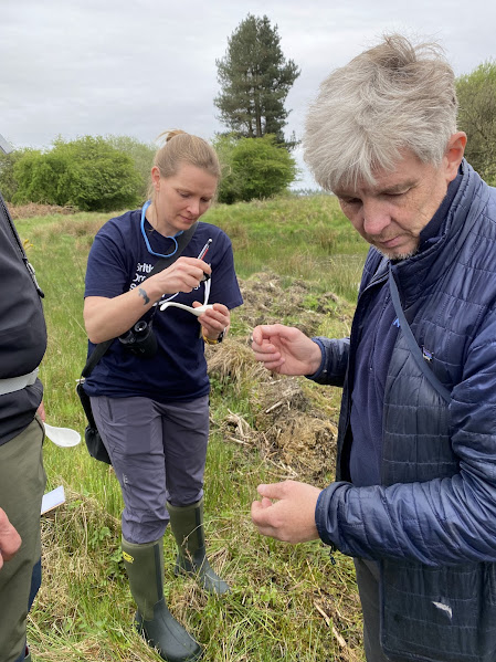 We had a gorgeous day at #Dragonfly #Hotspot Morton Lochs today with @NatureScot staff Alex & Marijke & top #volunteer @dmcculloch55. New #Conservation Officer, Jen, is getting stuck into her larval ID already! #TeamDragonfly