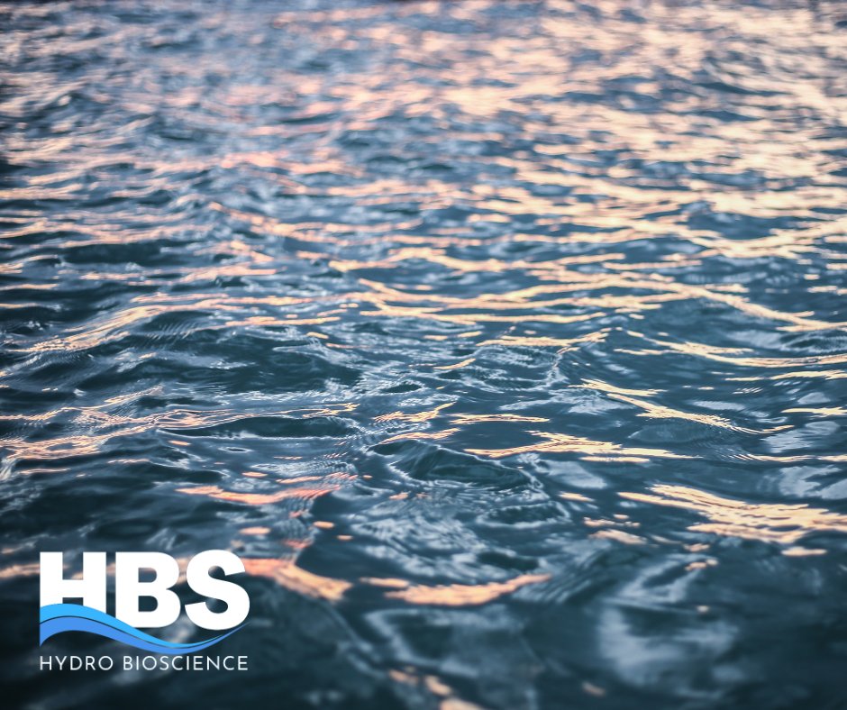 HydroBioScience's tweet image. Is your water as clean as it could be? Let us help, contact us for quote.
hydro-bioscience.com/contact-us/req…
#algaemanagement #waterqualitymonitoring #WaterManagement #algae #bluegreenalgae