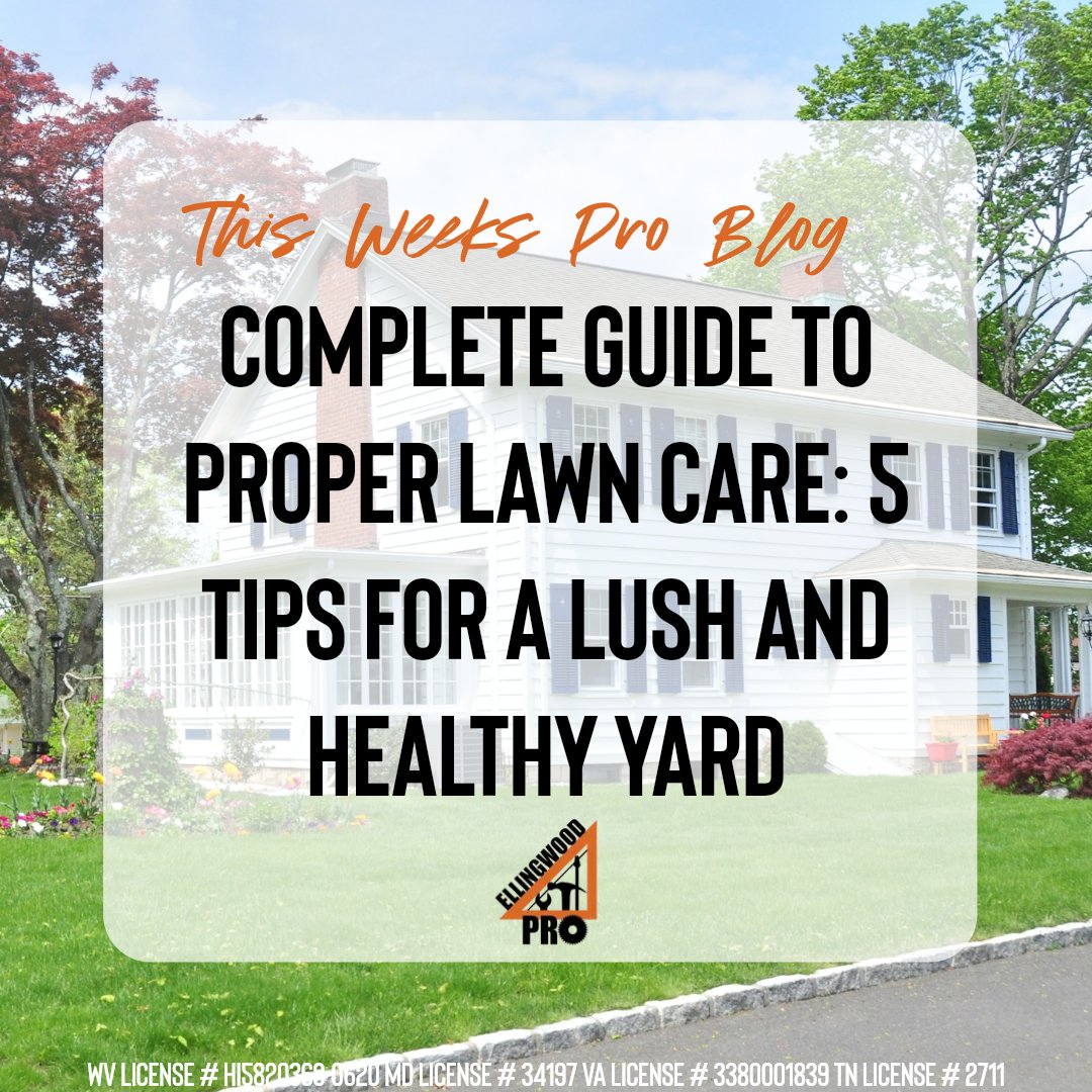 EllingwoodPro's tweet image. Happy #ProBlogTuesday! Our latest blog on lawn care tips is now live! 🌿 Discover expert insights and essential advice to nurture your dream lawn. Have a favorite lawn care tip? Share it with us in the comments below! 🏡 Read it here: ellingwoodpro.com/pro-blog/f/law… 

#inspectb4ubuy