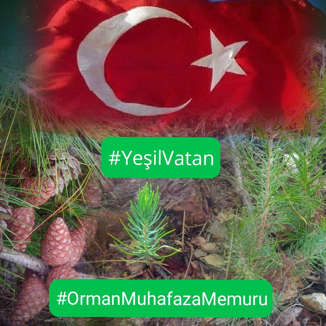 #YeşilVatan için çalışan birileri var...
#OrmanMuhafazaMemurları
#ormancıyönetmelikdegisikligiistiyor